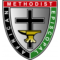 Great Bible Race African Methodist Episcopal Edition  (DVD)